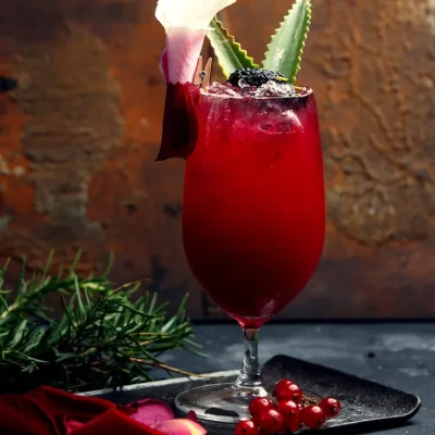 berry-juice-with-aloe-top_140725