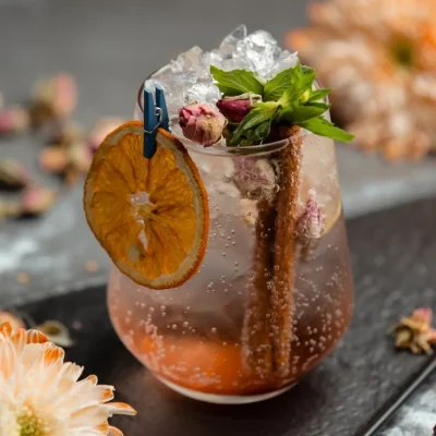 fresh-cocktail-with-dry-orange-c